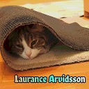 Laurance Arvidsson - Time off Fusion