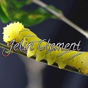 Jelin Clement - Container Magnet