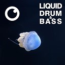 Dreazz - Liquid Drum Bass Sessions 2020 Vol 37