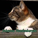 Johanna Vandenberghe - Still Need Horizon