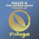 Hallex M Nathan Adams - Promise Me Vocal Mix Edit
