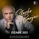 Slavko Banjac - Dzabe joj Live