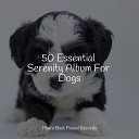 Music For Dogs Music for Dogs Collective Pet Care Music… - Unwind