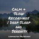 Sons da Natureza Relax Yoga Rain Reiki Music - Calmness