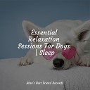 Music For Dogs Peace Official Pet Care Collection Sleeping Music For… - Stress Relief