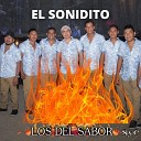 Los Del Sabor SyC - Quisiera Ser El