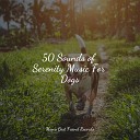 Music for Pets Library Music for Leaving Dogs Home Alone Music for Dog s… - Love and Tranquil