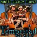TEMPESTAD BONITO NICOLAS FLORES - El Fandanguito