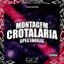 DJ EDU 013 MC BM OFICIAL - Montagem Crotal ria Spectabilis