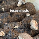 Angelic Acoustics - jesus music