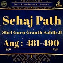 Bhai Harmeet Singh Ji - Sehaj Path Ang 481 to 490