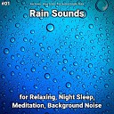 Rain Sounds Nature Sounds Rain Sounds by Angelika… - Background Ambience for Inner Peace