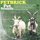 Petbrick feat LG Petrov - Lonely Soul