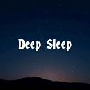 Narcotic Chill - Deep Sleep