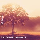 Steve Brassel - Misty Daytime Forest Ambience Pt 20