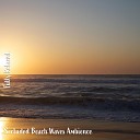 Steve Brassel - Secluded Beach Waves Ambience Pt 1