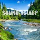 Elijah Wagner - Calming Mountain Stream Sounds Pt 11