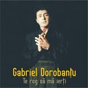 Gabriel Dorobantu - Promisiuni