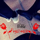 Nible - Розы алые