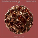 Re You feat Paul Brenning - Reasons