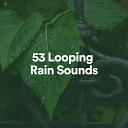 Rain Sounds Nature Collection - Nature Rain Pt 8