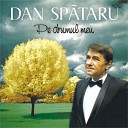 Dan Spataru - Cine te a iubit