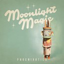 Moonlight Magic - Totem Pole