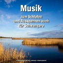 Entspannungsmusik Willi Antz Schlafmusik… - Instrumental als Einschlafhilfe