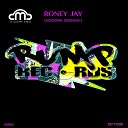 Roney Jay Shelley Nelson Qualifide - Wake Me Up Roney Jay Remix