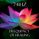 The Healing Project - 741Hz Frequency of Healing