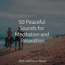 Sounds of Nature White Noise for Mindfulness Meditation and Relaxation Binaural Beats Brainwave Entrainment… - Mind Horizons