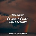 The Sleep Helpers Tranquil Music Sound of Nature Soothing Chill Out for… - Clouds in Sleepy Daze