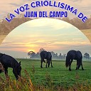 Juan del Campo - Negra del Alma