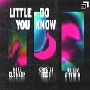 Mike Gudmann Crystal Rock Rotciv Revilo - Little Do You Know