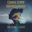 GALIMOV SHAM - Синен серле карашыннан