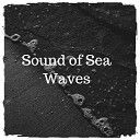 Nature Sounds to Relax - Sound of Sea Waves Pt 20