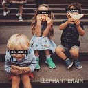 Elephant Brain - Pt 1 canzoni