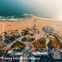 Steve Brassel - Calming Venice Beach Ambience Pt 17