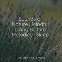 Mindfulness Meditation World Yoga Entspannungsmusik… - Complete Awareness