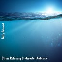 Steve Brassel - Stress Relieving Underwater Ambience Pt 9