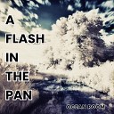 Ocean Room - A Flash in the Pan