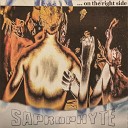 Saprophyte - Time to Die