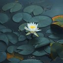 Su Jung Moon - Lotus Opening [Elemental Version - City Ambience ]