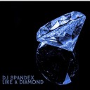 DJ Spandex - Like a Diamond Radio Edit