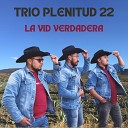 Trio Plenitud 22 - La Vid Verdadera