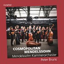 Mendelssohn Kammerorchester Leipzig Peter… - No 1 Andantino