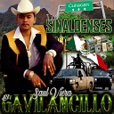 Saul Viera El Gavilancillo - Caminos de la Vida