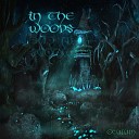 OCULUM LIVE - In the Woods 155