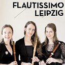 Ulrike Wolf Johanna Baumg rtel Anne Kathrin… - Terzetto Menuetto Trio