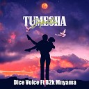 Dice Voice feat B2K Mnyama - Tumesha Jipata